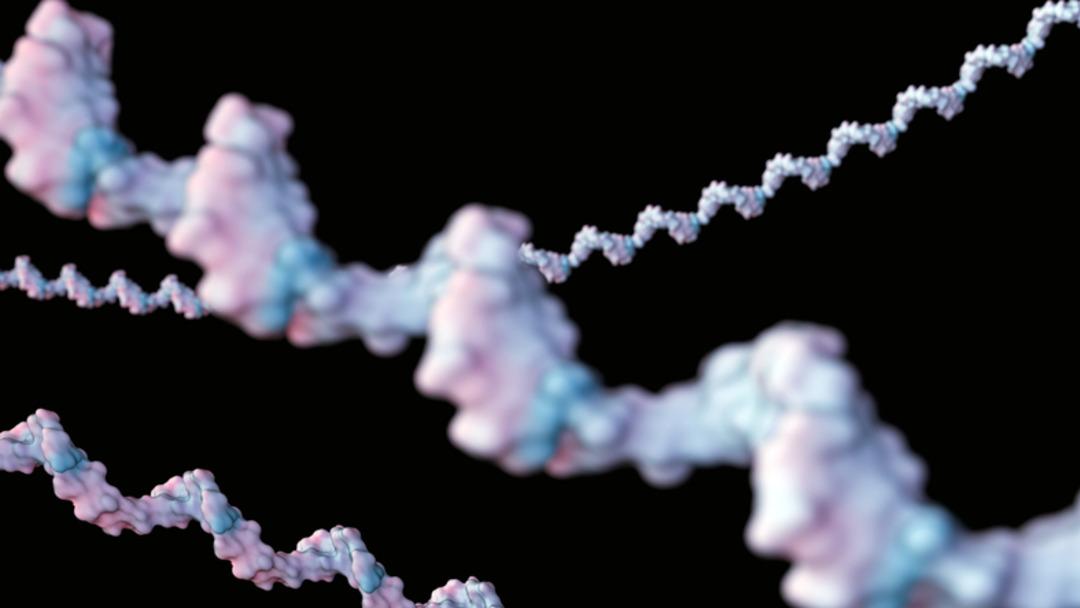 Çok nadir görülen yeni bir nörolojik hastalık keşfedildi: Sadece 13 kişide görüldü! 2